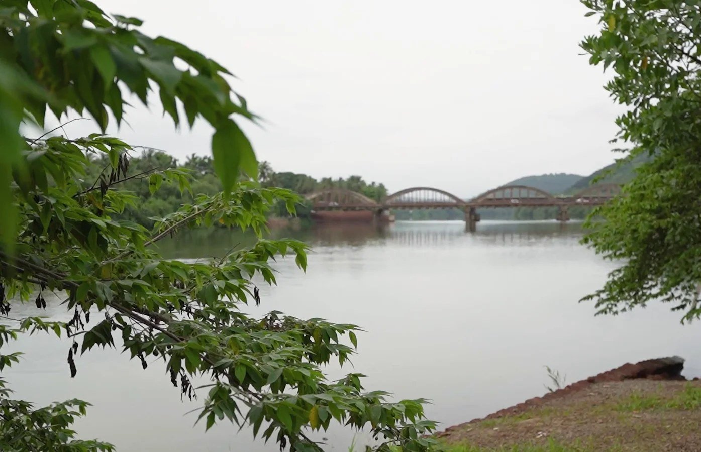 The arched Kuppam bridge over the river, framed by leaves